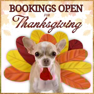 Sitter Profile Image: Shanna F.