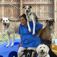 Sitter Profile Image: Sarahy Z.