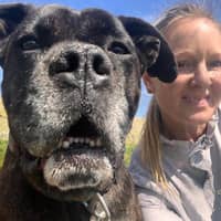 Sitter Profile Image: Brandie C.