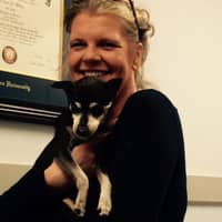 Best Dog Boarding In Palm Beach Gardens Fl Rover Com