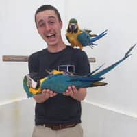 Sitter Profile Image: Tyler B.