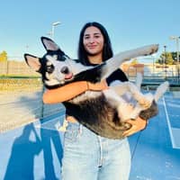 Sitter Profile Image: Sabrina L.