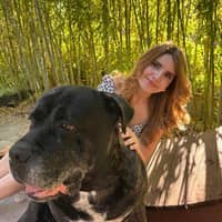 Photo de profil du pet sitter : Chaimaa S.