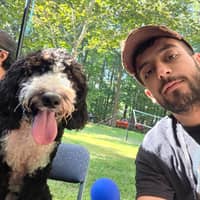 Sitter Profile Image: taher z.