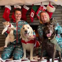 Sitter Profile Image: Jaclyn & Ashleigh R.