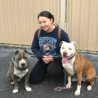 Sitter Profile Image: Faith M.