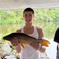 Sitter Profile Image: Gabriel M.