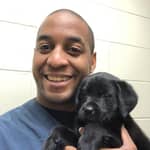 Sitter Profile Image: Justin E.