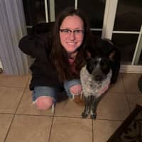 Sitter Profile Image: Alexis K.