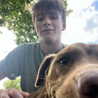 Sitter Profile Image: Ashton S.