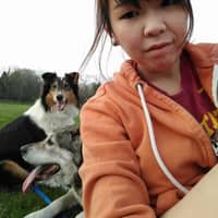 Sitter Profile Image: Le Lee Y.