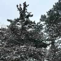 Sitter Profile Image: Tim S.