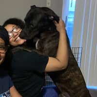 Sitter Profile Image: Savannah M.