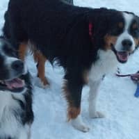 Sitter Profile Image: Sandy & Chris M.