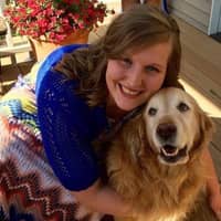 Best Dog Boarding In Saint Louis Park Mn Rover Com