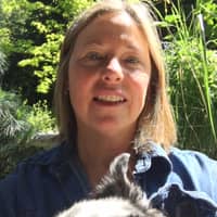 Sitter Profile Image: Laurie K.