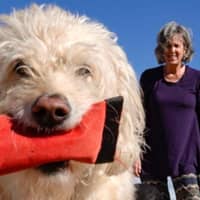 Sitter Profile Image: Melinda M.