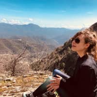 Sitter Profile Image: Ali S.