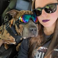 Sitter Profile Image: Felisha S.