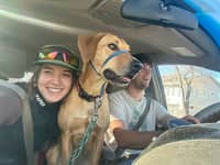 Sitter Profile Image: Sydnee K.