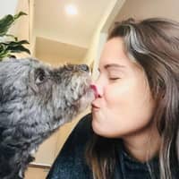 Sitter Profile Image: Kristen Z.