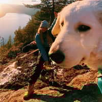 Profilbilde av hundepasser: Amanda S.