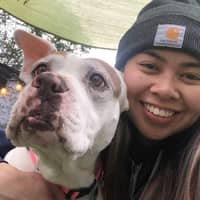 Sitter Profile Image: Shai & Norman T.