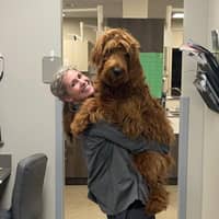 Sitter Profile Image: Michelle C.