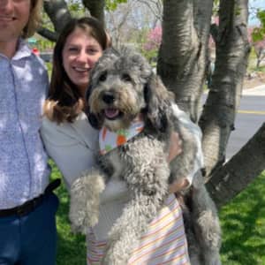 Sitter Profile Image: Sara C.