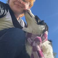 Sitter Profile Image: Courtney C.