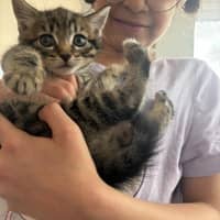 Sitter Profile Image: Ghada A.