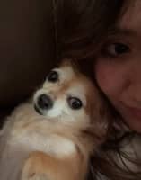 Sitter Profile Image: Kimberly A.