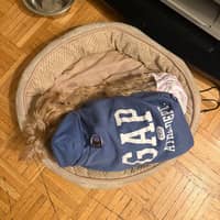 Sitter Profile Image: Nicoy W.