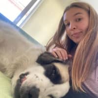 Sitterprofilbild: Duru T.