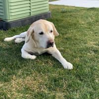 Sitter Profile Image: Katelyn A.