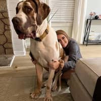 Sitter Profile Image: Caylee S.