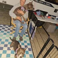 Sitter Profile Image: Reva W.