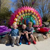 Sitter Profile Image: Jason v.