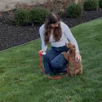 Sitter Profile Image: Ashley B.