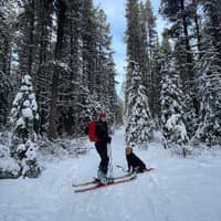 Sitter Profile Image: Tess B.