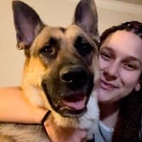 Sitter Profile Image: Iulia A.