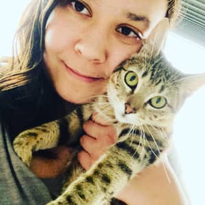 Cat lover looking to provide care!