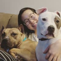 Sitter Profile Image: Sophia P.