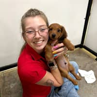 Sitter Profile Image: Lindsey B.