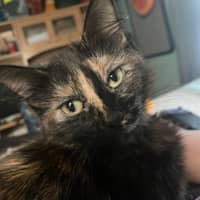 Sitter Profile Image: Mellissa Ann A.