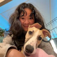 Sitter Profile Image: Seng M.