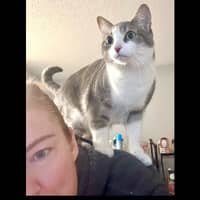 Sitter Profile Image: Erica G.