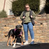 Sitter Profile Image: Bailey J.