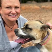 Sitter Profile Image: Jennifer & Nicholas H.