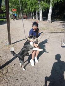 Image 0